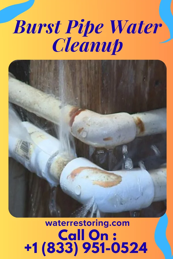 Burst Pipe Water Cleanup in Panama, OK
